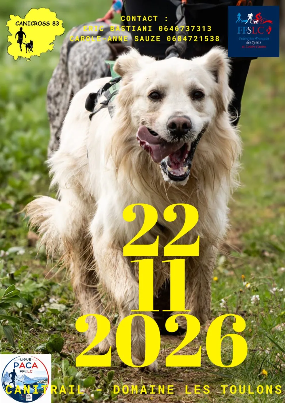 Affiche officielle : 2eme Cani-Trail des Lions du Verdon