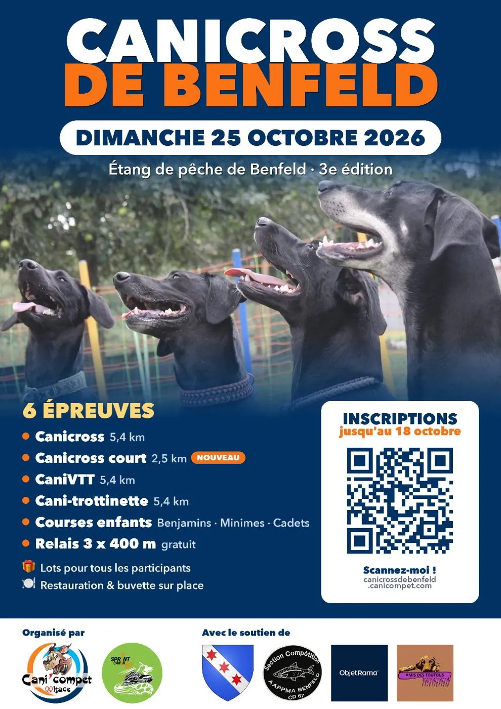 Affiche officielle : Canicross de benfeld