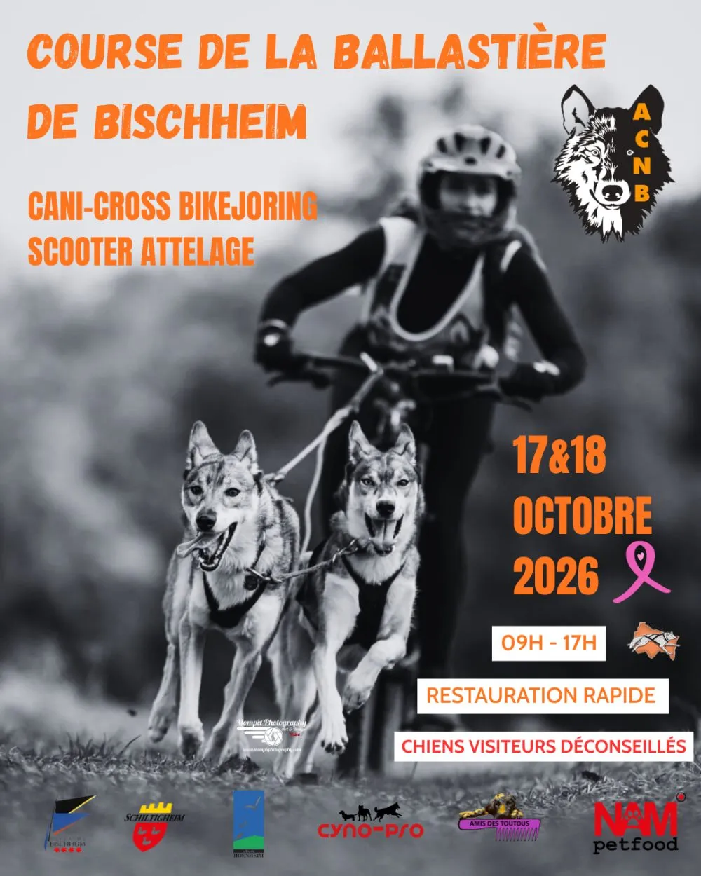 Affiche officielle : Course de la Ballastière de Bischheim