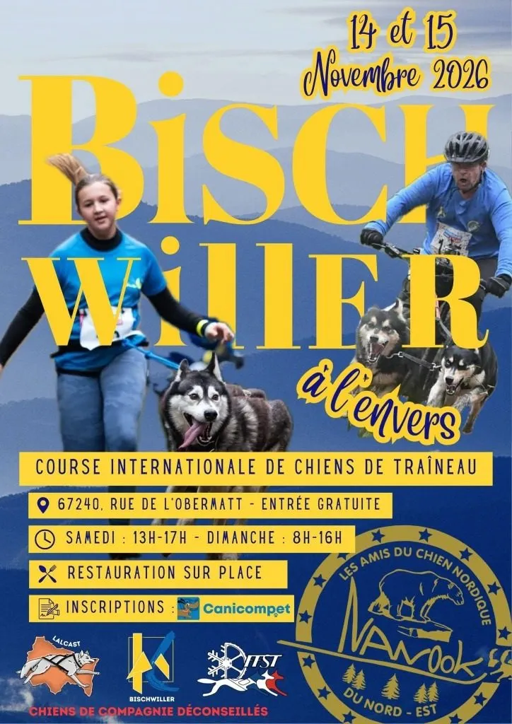 Affiche officielle : Course internationale de Bischwiller 2026