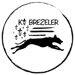 Logo de KI BREZELER
