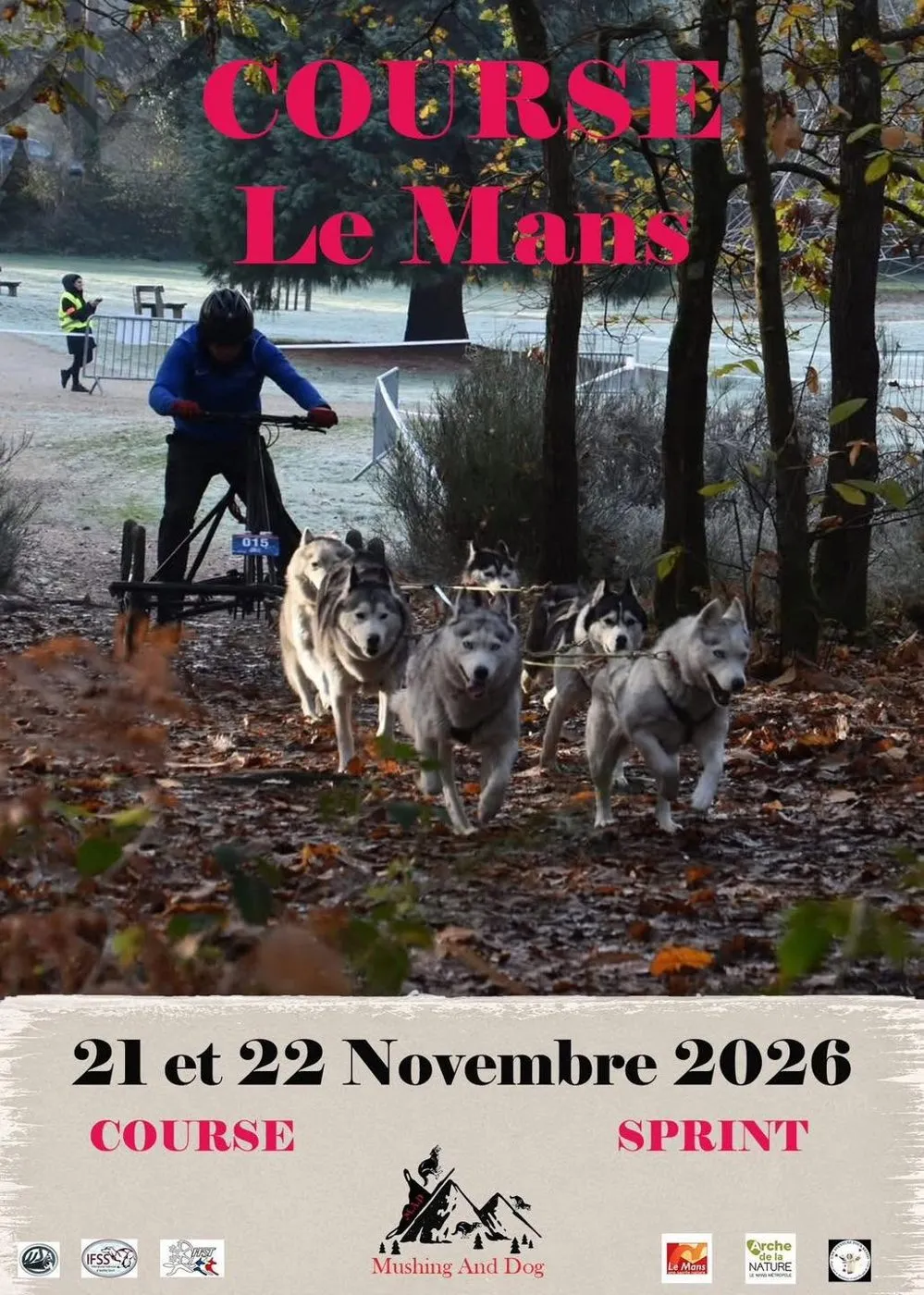 Affiche officielle : Le Mans