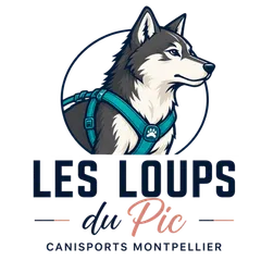 Logo de Les Loups du Pic