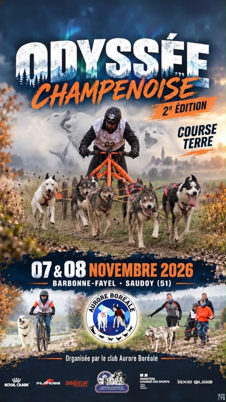 Affiche officielle : Odyssée Champenoise, 2ème édition