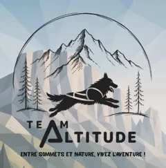 Logo de Team Altitude